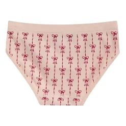 Maidenform Girls Seamless Hipster Panty J4101