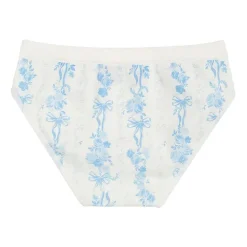Maidenform Girls Seamless Hipster Panty J4101