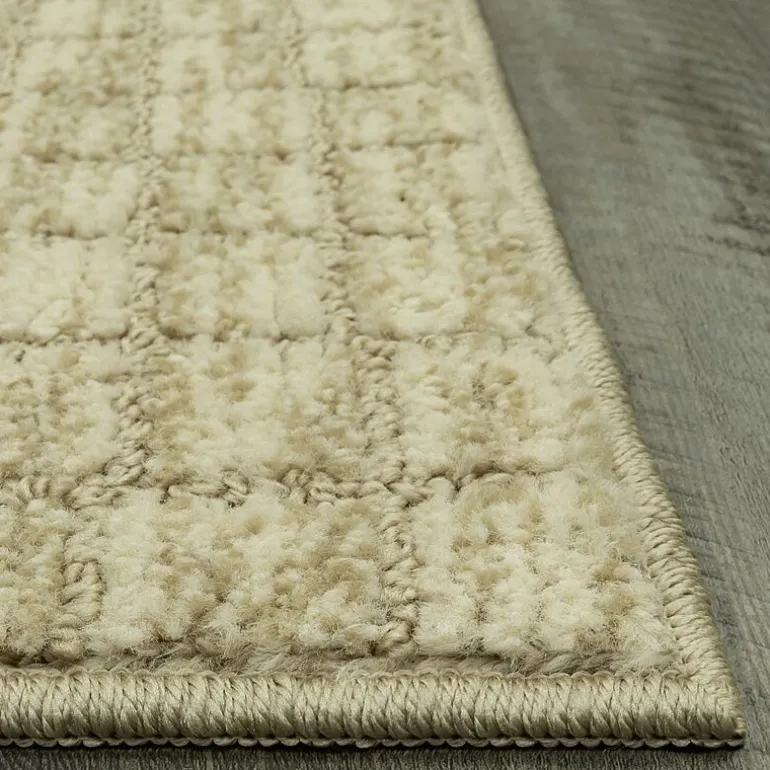 Maples Grid Indoor Rectangular Accent Rug