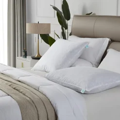 Martha Stewart Euro Pillow