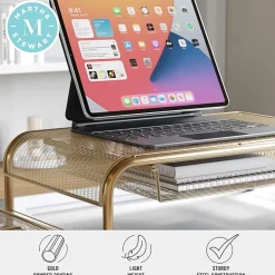 Martha Stewart Mesh Monitor Riser