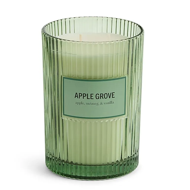 Martha Stewart 19oz Apple Grove 2-Wick Scented Jar Candle