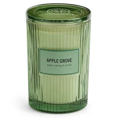 Martha Stewart 19oz Apple Grove 2-Wick Scented Jar Candle