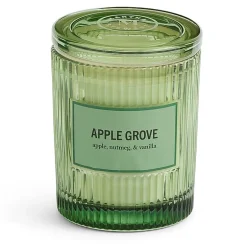 Martha Stewart 10oz Apple Grove Single Wick Scented Jar Candle