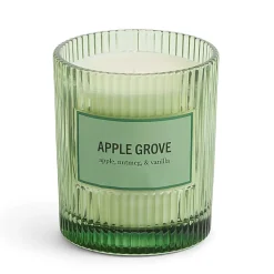 Martha Stewart 10oz Apple Grove Single Wick Scented Jar Candle