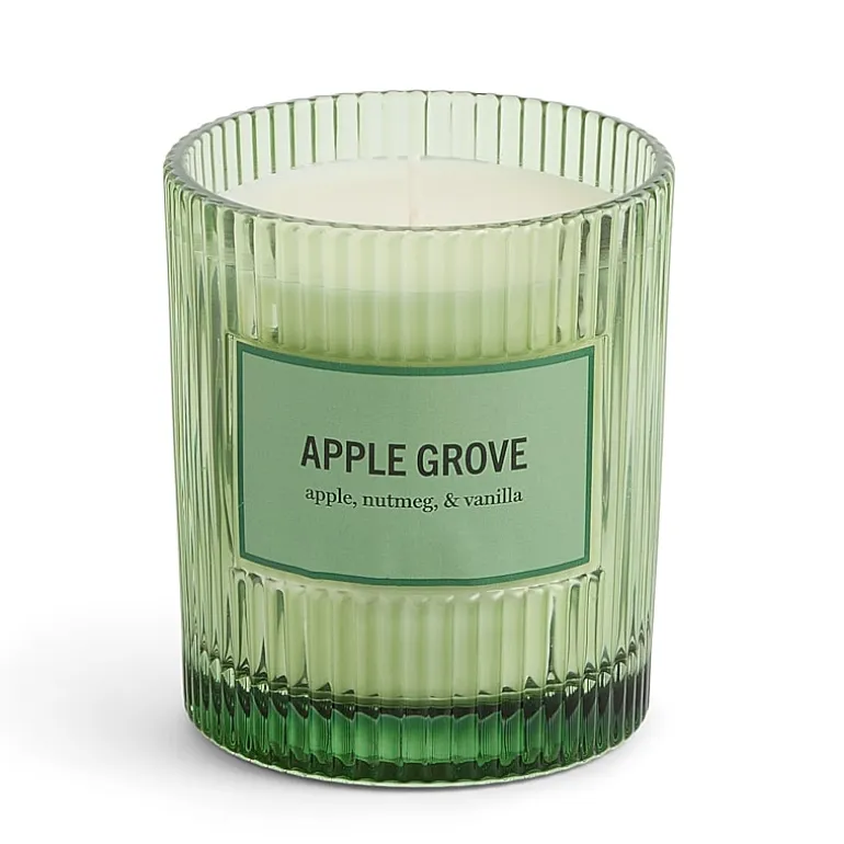 Martha Stewart 10oz Apple Grove Single Wick Scented Jar Candle