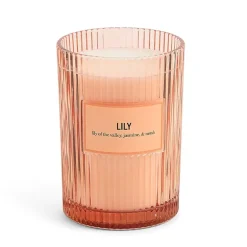 Martha Stewart 19oz Lily 2-Wick Scented Jar Candle