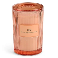 Martha Stewart 19oz Lily 2-Wick Scented Jar Candle