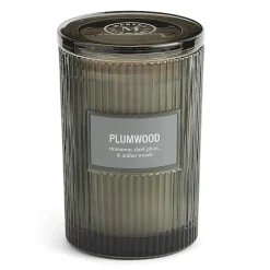 Martha Stewart 19oz Plumwood 2-Wick Scented Jar Candle
