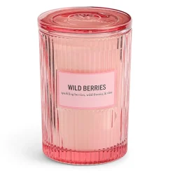 Martha Stewart 19oz Wild Berries 2-Wick Scented Jar Candle