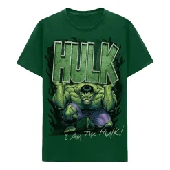 Mens Crew Neck Short Sleeve Regular Fit Hulk Graphic T-Shirt