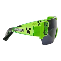 Minecraft Boy Sunglasses