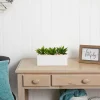 Nearly Natural Agave Succulent In Rectangular Planter Artificial Plant