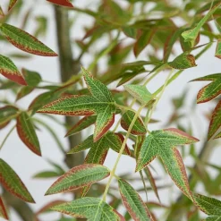 Nearly Natural 7ft Autumn Nandina Indoor Artificial Tree