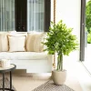 Nearly Natural 4ft Ficus Indoor Outdoor Artificial Tree