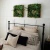 Nearly Natural 20in. X 20in. Green Lighted Queensland Rainforest Wall Panel Artificial Plant