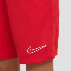 Nike Dri-Fit Trophy Big Kid Unisex Pull-On Short