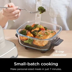 Ninja Crispi 4-in-1 Portable Glass Air Fryer Cooking System