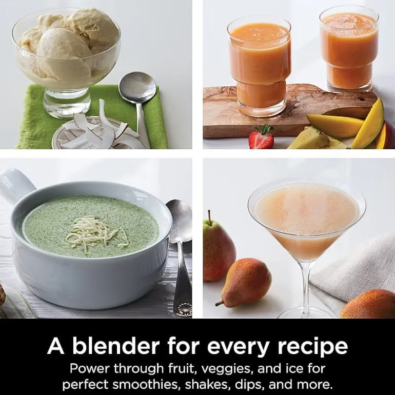 Ninja® Professional Blender 1000W BL610