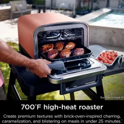 Ninja Woodfire 8-In-1 Outdoor Oven Gas Grill Oo101