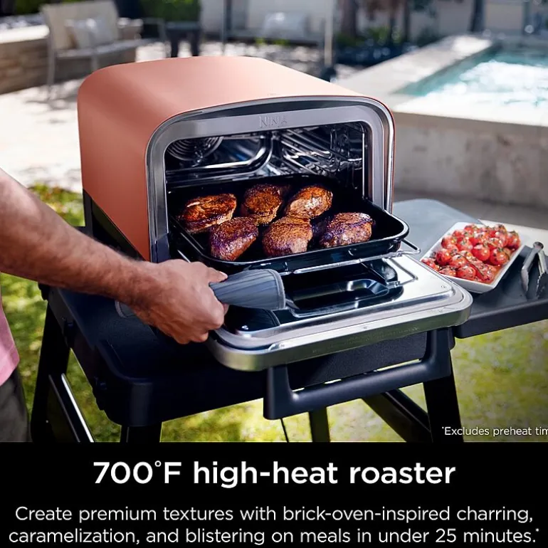 Ninja Woodfire 8-In-1 Outdoor Oven Gas Grill Oo101