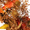 Northlight 24in Maple Leaf And Berry Unlit Wreath