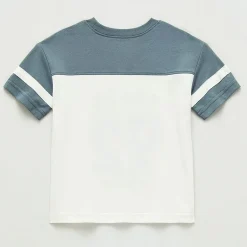 Okie Dokie Toddler & Little Boys Round Neck Short Sleeve Relaxed Fit Graphic T-Shirt