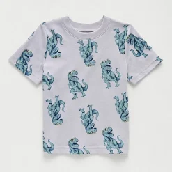 Okie Dokie Toddler & Little Boys Crew Neck Short Sleeve Regular Fit Graphic T-Shirt