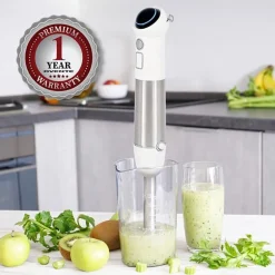 Ovente Immersion 2-Speed Blender