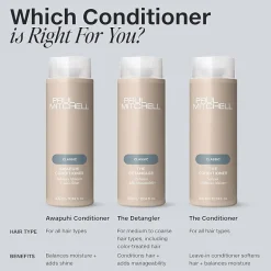 Paul Mitchell The Conditioner Leave-In Conditioner 33.8 oz.