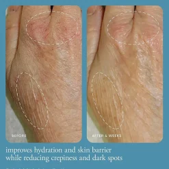 Philosophy In Good Hands Nourishing Hand Cream Duo Set