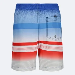 Quiksilver Big Kid Boys Striped Swim Trunks