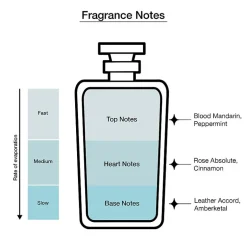 Rabanne 1 Million Eau De Toilette Cologne