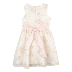 Rare Editions Toddler Girls Sleeveless A-Line Dress