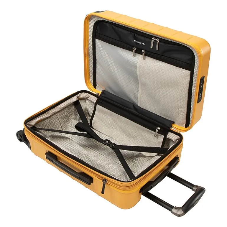 Ricardo Beverly Hills Cambria 20 Inch Hardside Carry-On Spinner Luggage