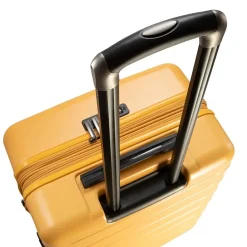 Ricardo Beverly Hills Cambria 28 Inch Hardside Checked Spinner Luggage