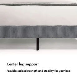 Roco Upholstered Panel Bed