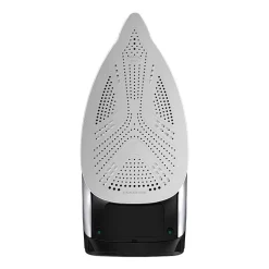 Rowenta Pro Master X-Cel Steam Iron