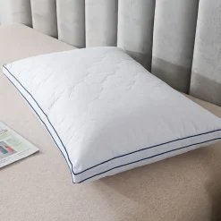 Royal Velvet European Down Blend Surround Pillow