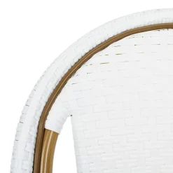 Salcha Rattan 2 Pc Patio Chairs