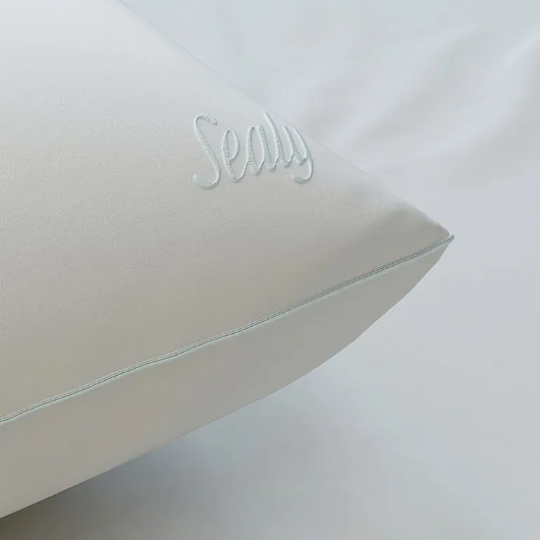 Sealy DreamTouch Firm Support Pillow
