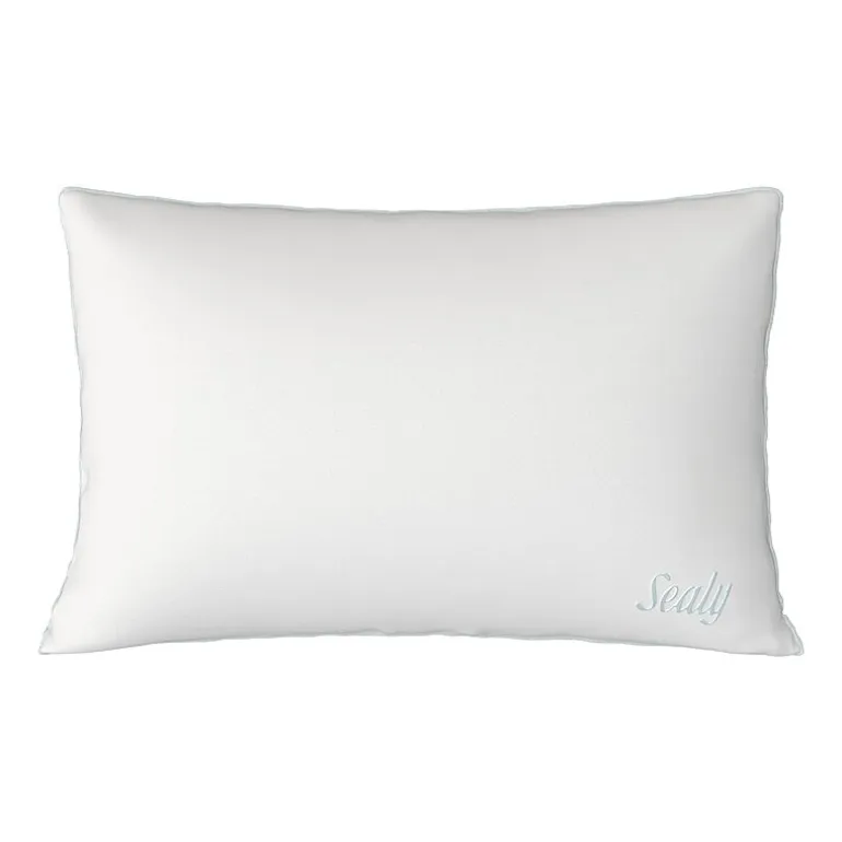 Sealy DreamTouch Firm Support Pillow