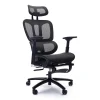 Sealy® Hxley Ergonomic Design Adjustable Height Office Chair