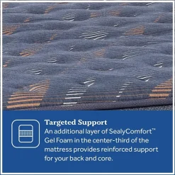 Sealy Special Edition Warner 12" Plush Pillow Top - Mattress + Box Spring
