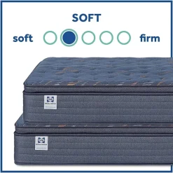 Sealy Special Edition Warner 12" Plush Pillow Top - Mattress + Box Spring