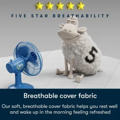 Serta Five Star Mattress 12