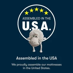 Serta Five Star Mattress 12