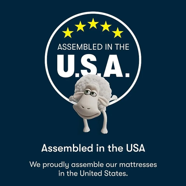 Serta Five Star Mattress 12" Plush Pillow Top - Mattress in a Box