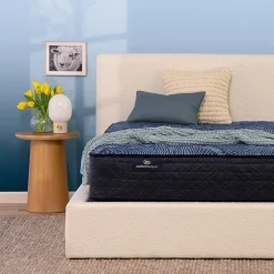 Serta Perfect Sleeper Cobalt Calm 12