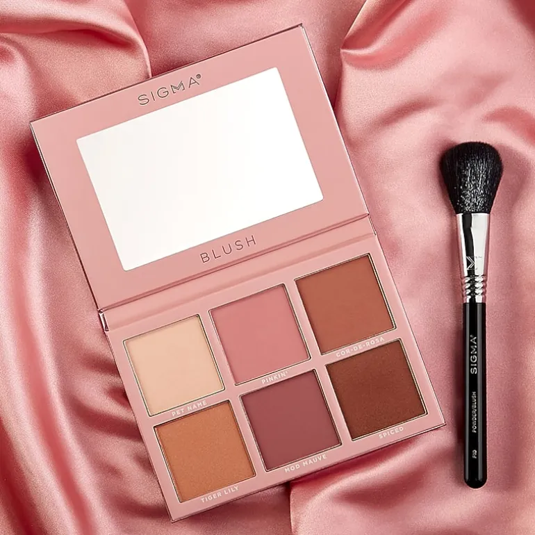 Sigma Beauty F10 Powder/Blush Brush